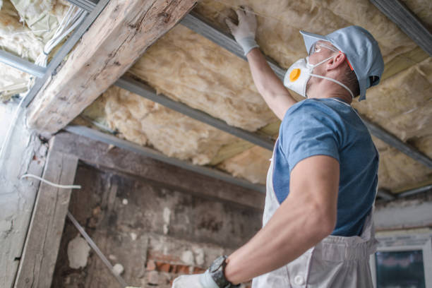 Best Residential Insulation in Buffalo, MN