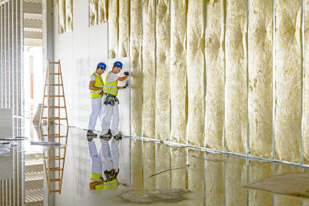 Best Insulation for Specific Applications in Buffalo, MN